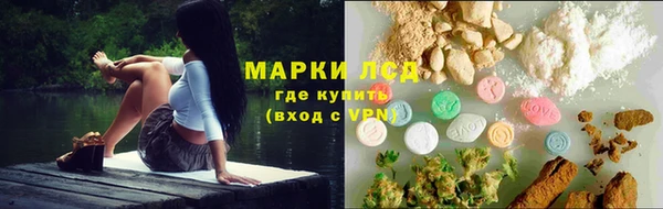 спиды Иннополис