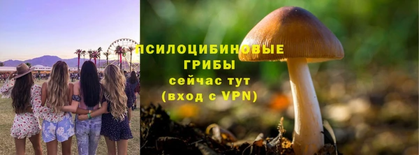 марки lsd Касимов