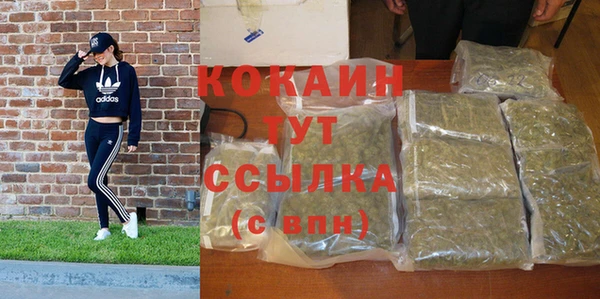 стаф Карталы