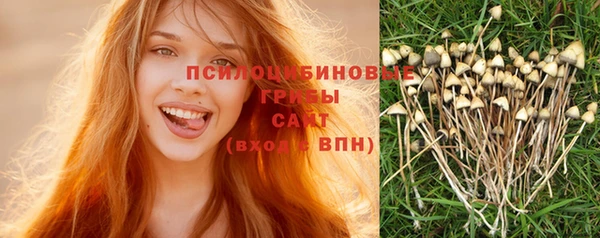 круглые Каменка