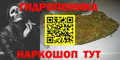 метадон Кингисепп