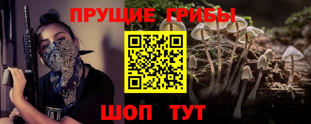 Кумертау  Галлюциногенные грибы прущие грибы  Вход с VPN 